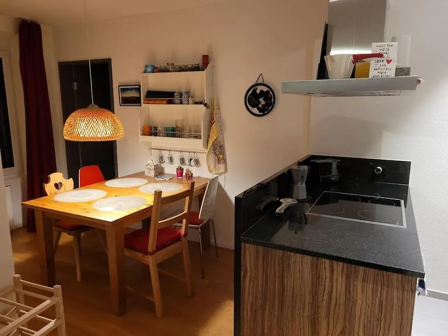 Cosy & Central, Lovely Terrace Over River & Park Zúrich